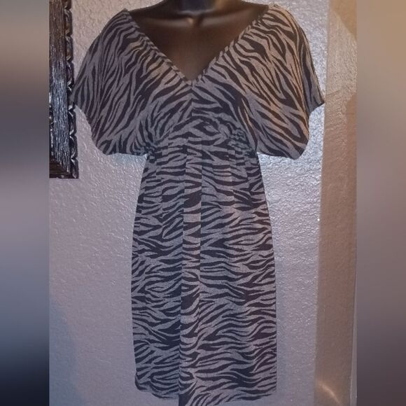 V-neck Zebra Striped Casual Dress, Great Throw On and Go! - Picture 1 of 7